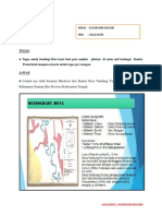 Gaa118045 - Fachrudin Muzani - Tugas Sosiologi Biro Krasi - 2