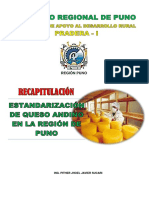 Recapitulacion de Queso Andino