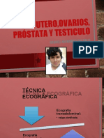 USG Utero, Ovarios, Prostata y Testiculo