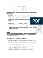 PDF Resumen Psicopatologia Compress