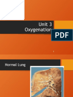 Unit 3 - Oxygenation