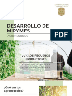 Desarrollo de Mipymes Agronegocios