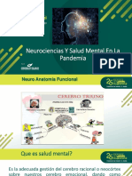 Neurociencias Y Salud Mental