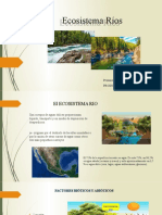 Ecosistema Ríos Diapositivas