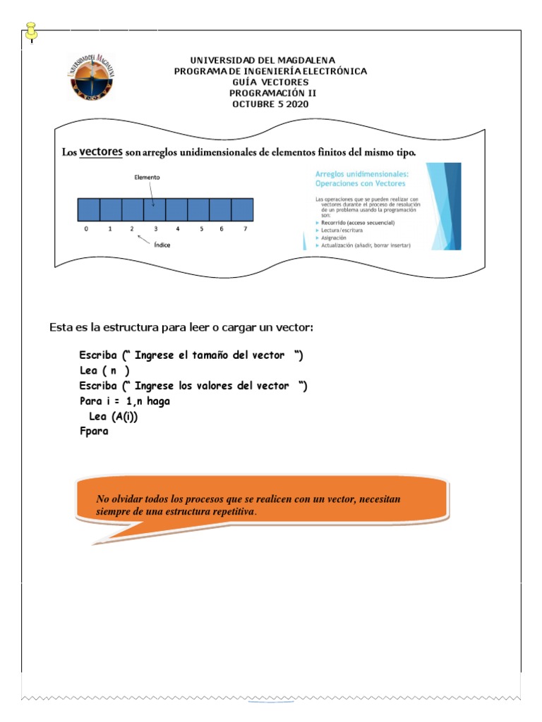 Guía de Vectores en Programación II | PDF | Estructura de datos de ...