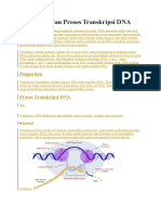 DNA Transkripsi Proses dan Faktor