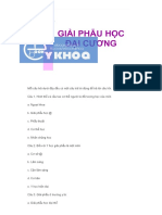 Câu hỏi trắc nghiệm và đáp án môn Giải phẫu - Chương đại cương