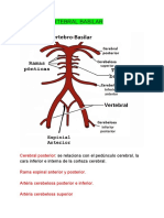 Sistema Vertebral Basilar (SNC)