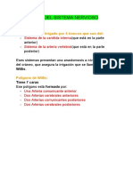 Irrigación Del SNC