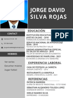 Hoja de Vida Jorge Silva