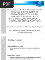 Seminário Sal mineral