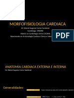 Anatomía Cardiovascular