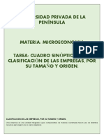 Cuadro Sinoptico Tamaño de Las Empresas y Su Origen