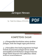 Jaringan Hewan (Kelas 11)