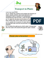 Chapter 9 Transport in Plants: Learning Objectives