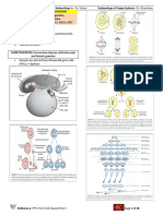 Basic Course Audit Anatomy-FEUNRMF Basic Embryology: Gametogenesis, Fertilization & Implantation