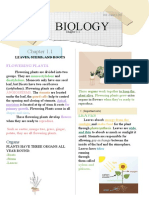 Biology 1.1