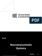 5 (1) - Neurotransmisión Química