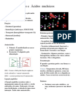 Proteínas e Ácidos Nucleicos