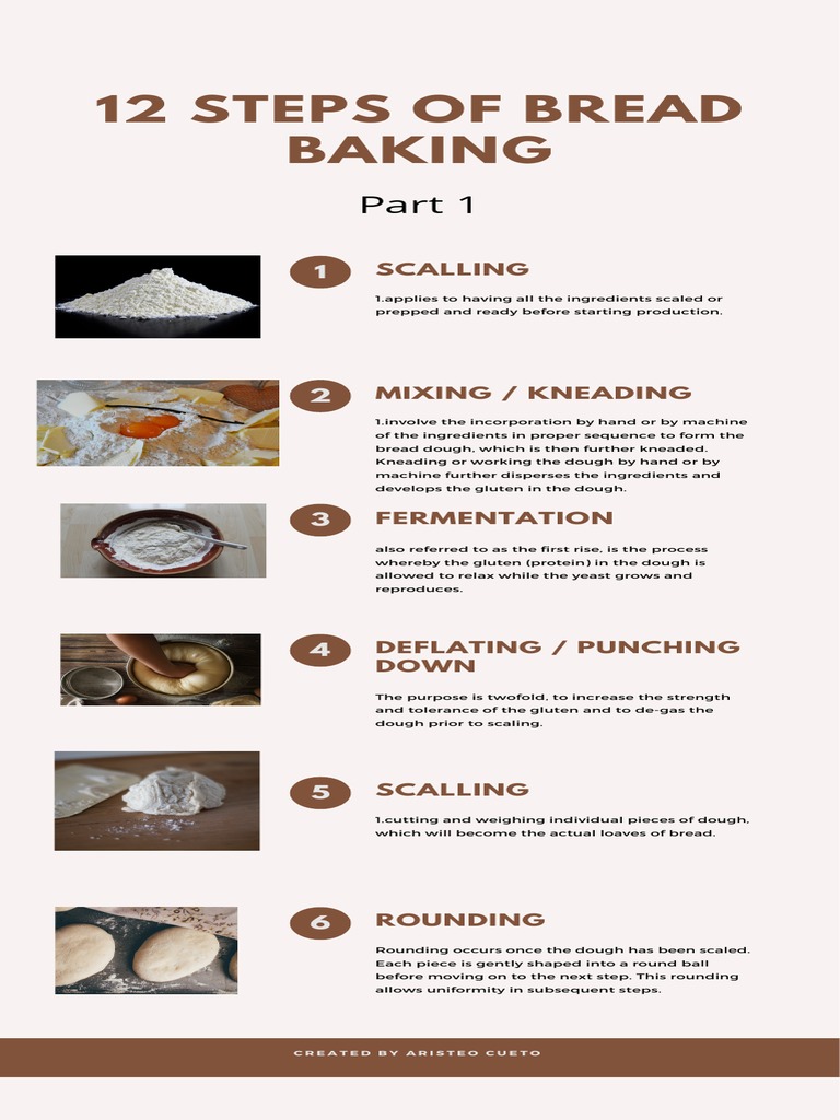 12 Steps of Bread Baking PDF Dough Breads