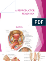 Sistema Reproductor Femenino-1