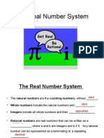 D1 Real Number System