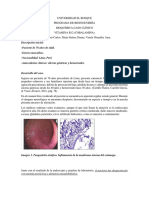 Caso Clínico Cobalamina