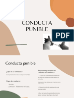 Conducta Punible