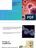 Metedos de Identificacion de Acidos Nucleicos en Diagnostico