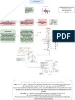 Fermentación Alcohólica: Proceso y Factores