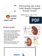 Patofisiologi Dan Askep Anak Dengan Gangguan System Urinary