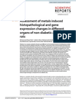 Assessment of Metals Induced Histopathological and Gene Expression Changes in Different Organs of Non-Diabetic and Diabetic Rats