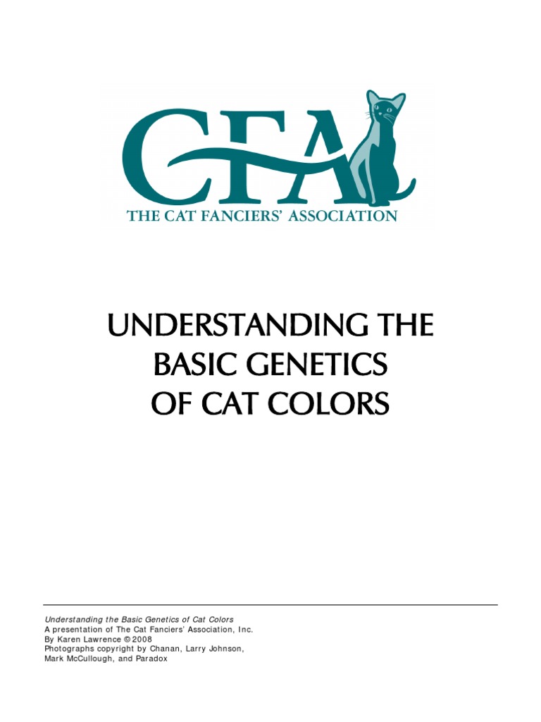 understanding-cat-colors | Cat Types | Cats