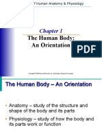 The Human Body - An Orientation