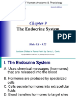 The Endocrine System