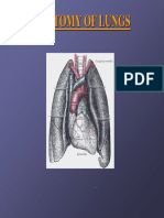 Anatomy of Lung