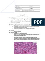 Acute and Chronic Inflammation