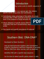 Northern & Southern Blots