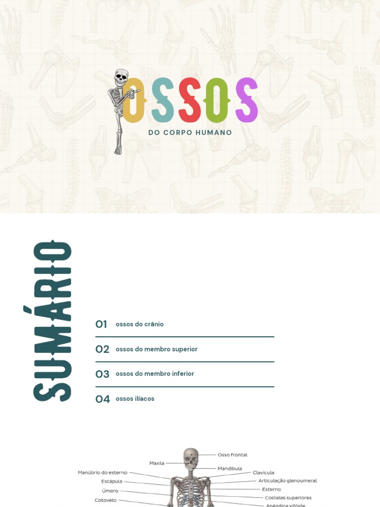 Ossos Do Corpo Humano Pdf Osso Membros Anatomia