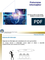 Prelucrarea Informatiilor