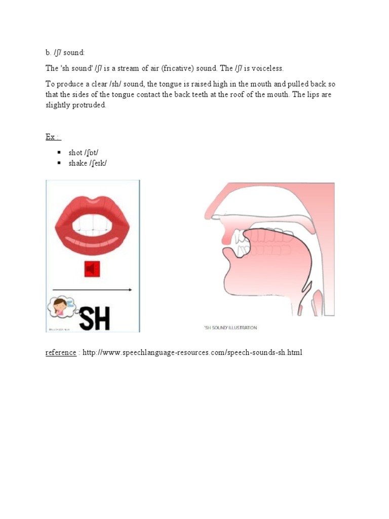 SH Sound | PDF | Foreign Language Studies | Art