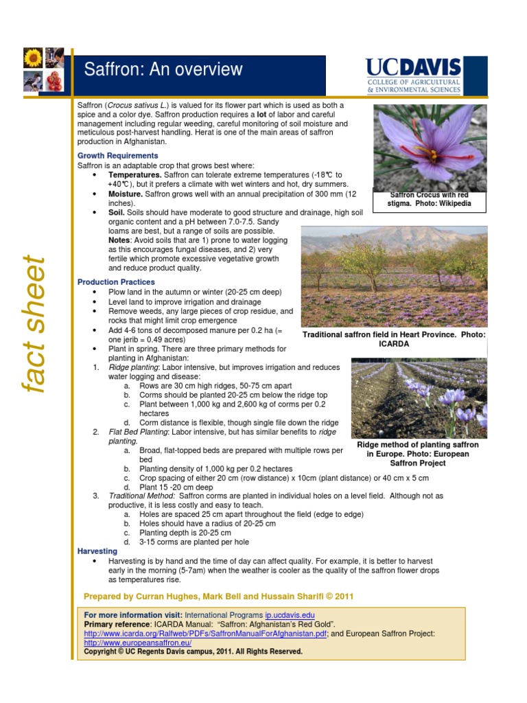 Saffron An Overview Growth Requirements PDF Soil Agriculture