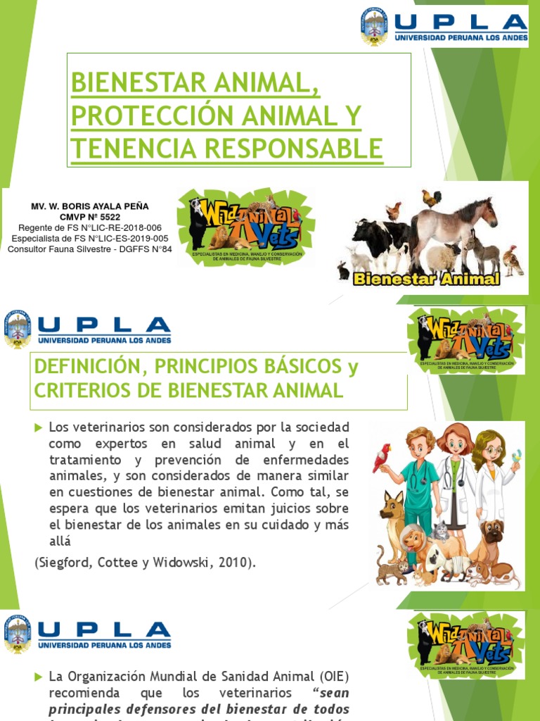 Bienestar Animal y Tenencia Responsable | PDF | Bienestar de los ...