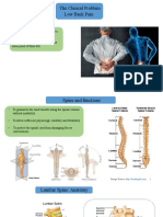 The Clinical Problem Low Back Pain