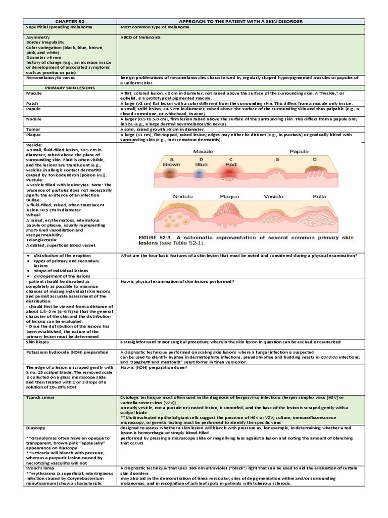primary-skin-lesions-overview-pdf-medical-specialties-health-sciences