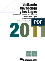 Acceso Los Lagos 2011