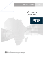 Rapport Congo nations Unies