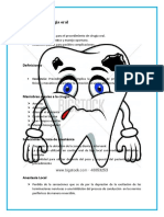 Protocolo de Cirugía Oral