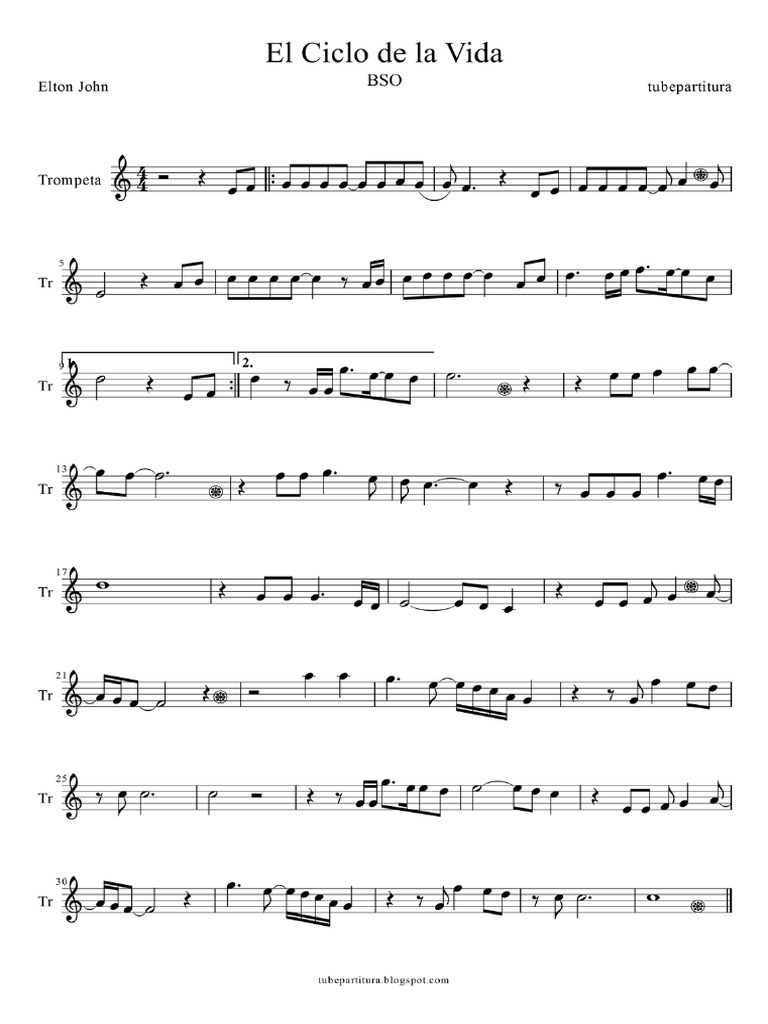 Il Cerchio Della Vita PDF