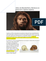 El impacto genético de Neanderthal y Denisova en la filogenia de H